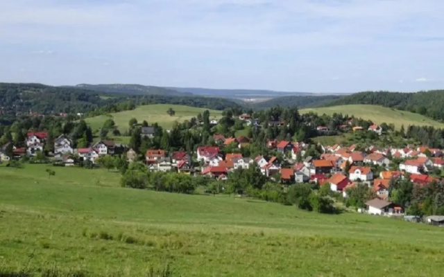Waldblick - a10644