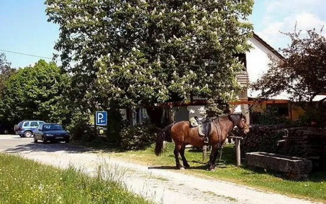 Gasthaus-Pension Zum Brandweiher