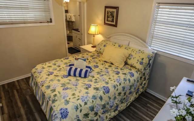 225 Delmar