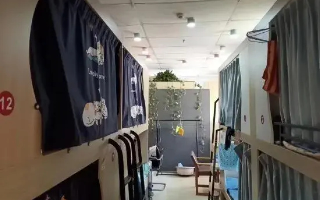 Small Youth Hostel Homestay  (Kunming Old Street Zhengyifang Branch)