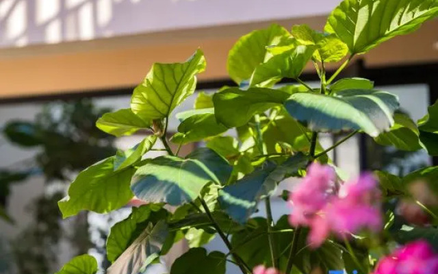 Yuzhichen Light Luxury Holiday Homestay (Beijing Huairou Baihewan Scenic Area)