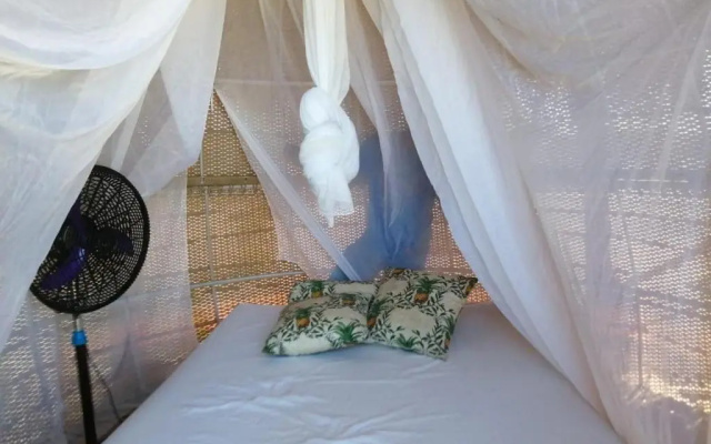 Glamping UVA Playa