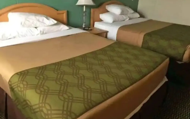 Warrior INN