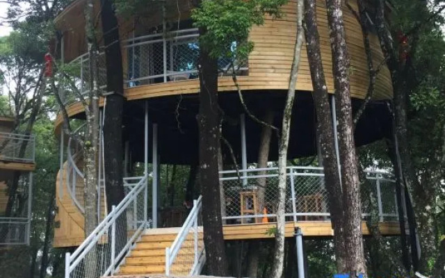Yinxin'gu Treehouse Hotel