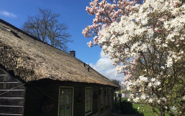 The Black Sheep Hostel In Oranjewoud Netherlands From 100