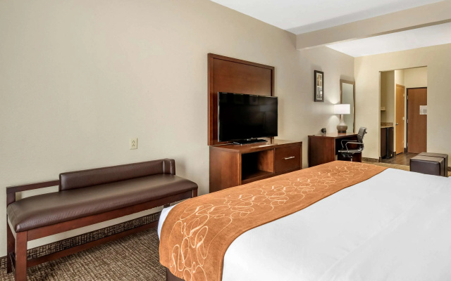 Comfort Suites Auburn near I-69