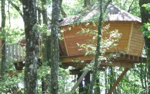 Les Cabanes Silvae