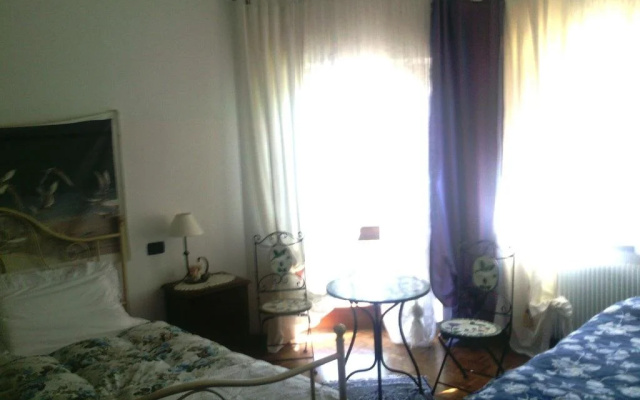 B&B Pane & Tulipani