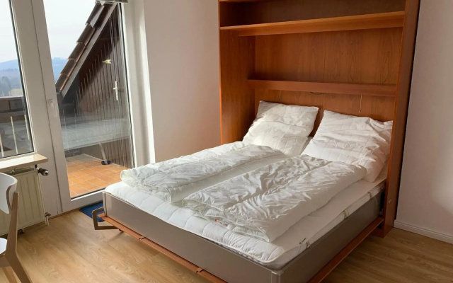 Gemütliche Ferienwohnung Harz Braunlage Hohegeiß