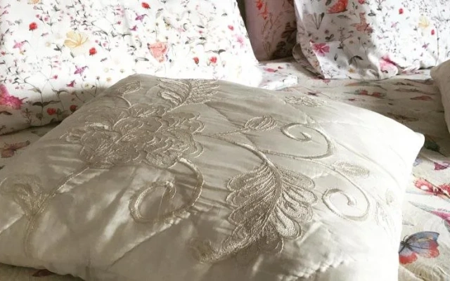 Petunia Guest House