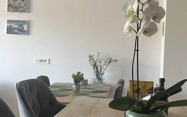 Apartment Mariner 1 With Heated Pool