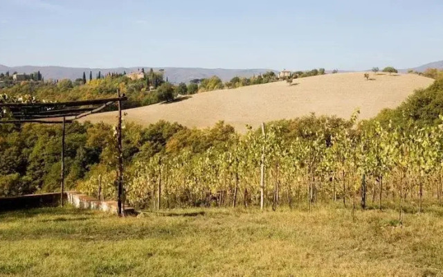 Le Ghiandaie