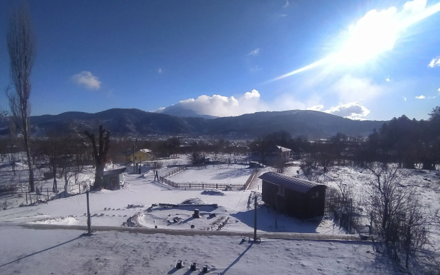 Torrhebia Dag Evi