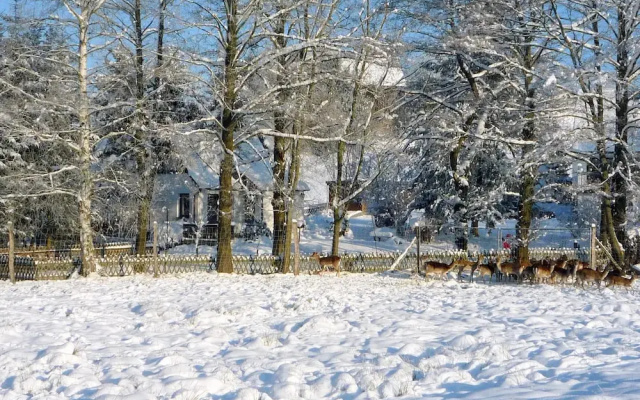 Serene holiday home in Saxony with private terrace