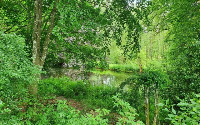 Sur La Rive Vierre