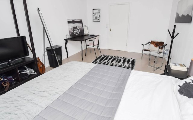 Apartment SK41 in Reykjavik, Iceland from 320$, photos, reviews - zenhotels.com guestroom
