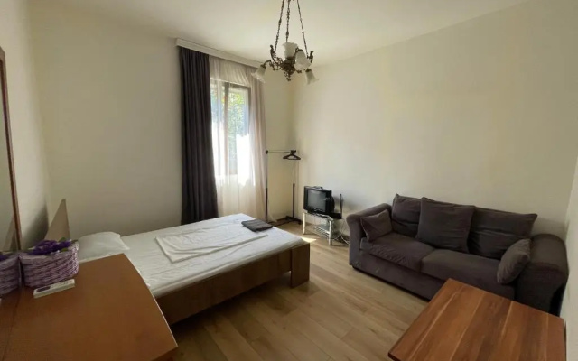 Apartment in the city center - Old Batumi