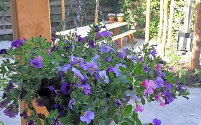 Bed & Breakfast Perron 22