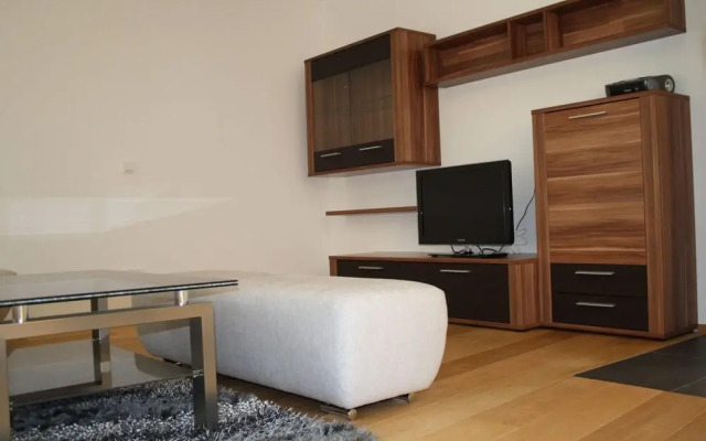 Apartment in the ski Area
