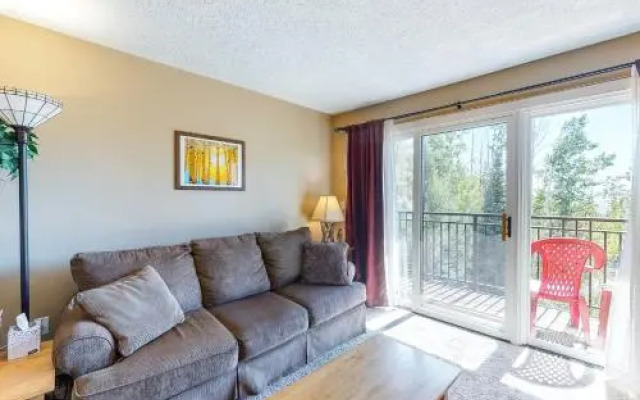 Scandinavian Lodge and Condominiums - 301