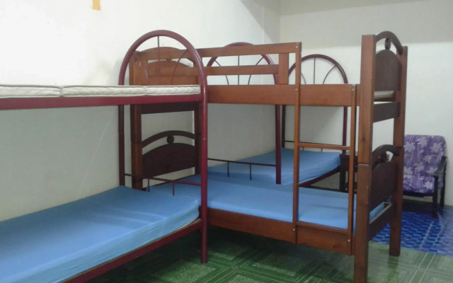 Zeeadam Backpackers