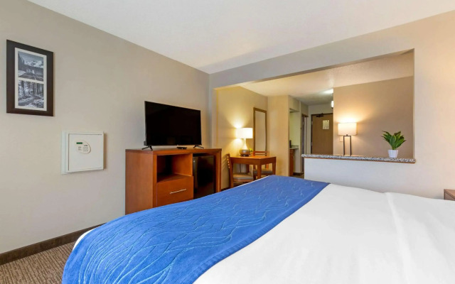 Comfort Inn South
