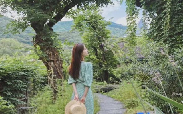 Anji Midsummer Dream Wild Luxury Homestay