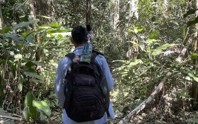 Yacumama Tambopata Expeditions