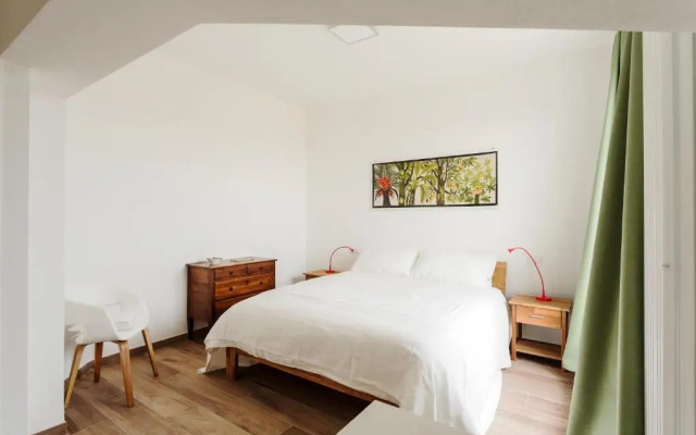 CanguroProperties - Nino Bixio