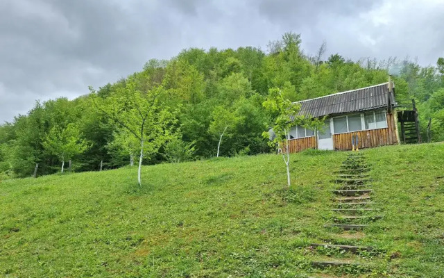 Country house Tara Orasac