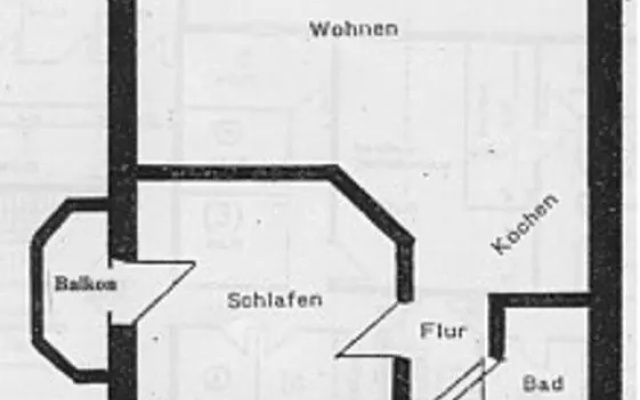 Robbenplate 19