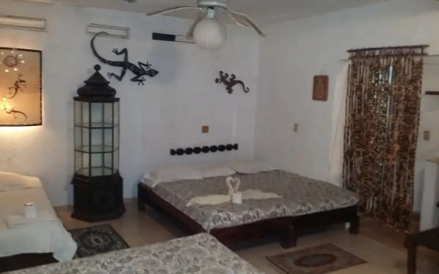 Casa Tonantzin 2