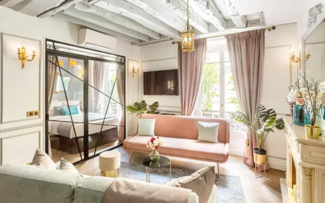 Luxury 4 bedroom 3 bathroom Aristocratic apartment - Louvre