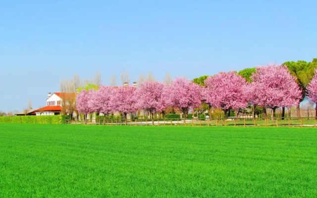 Agriturismo Le Cipressine