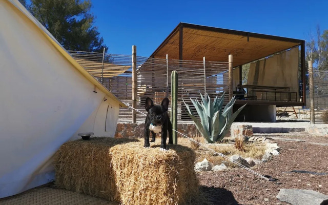 Nomada Camp