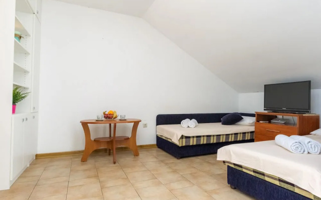 Apartments in City Center Ani