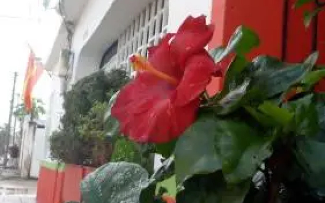 Caribbean Hostel