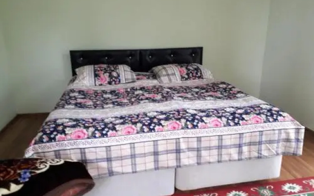 Guesthouse Hospitality