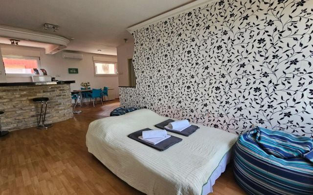 City Center Luxury Apartment