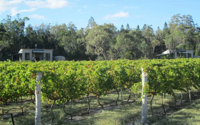 Just Red Wines Vineyard Cabins