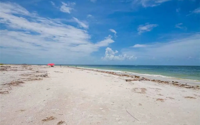 242 - Beach Daze
