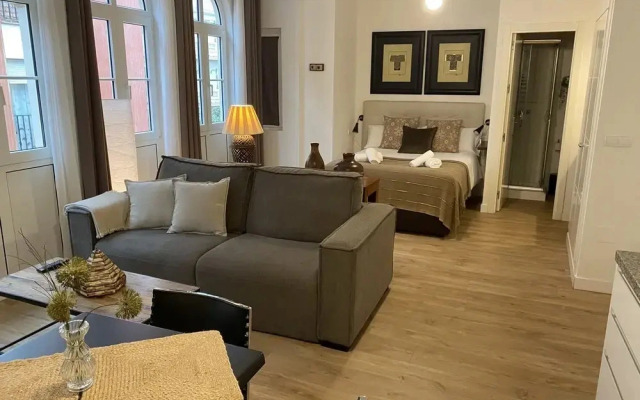 Fantastic Penthouse & Flat Malaga