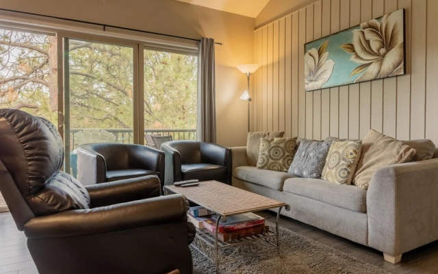 Ski House 225
