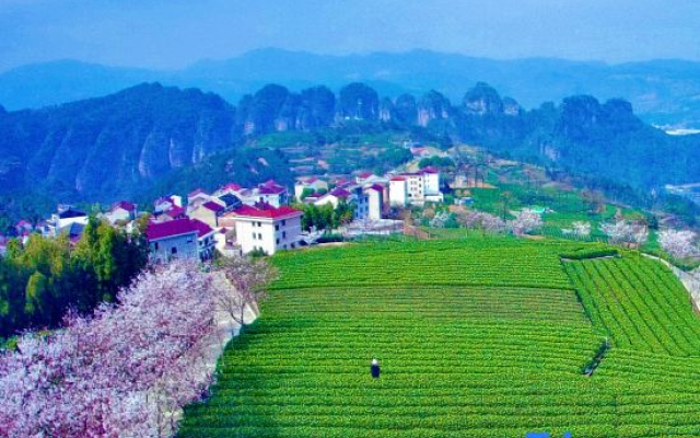 Shanhai Yishu Homestay