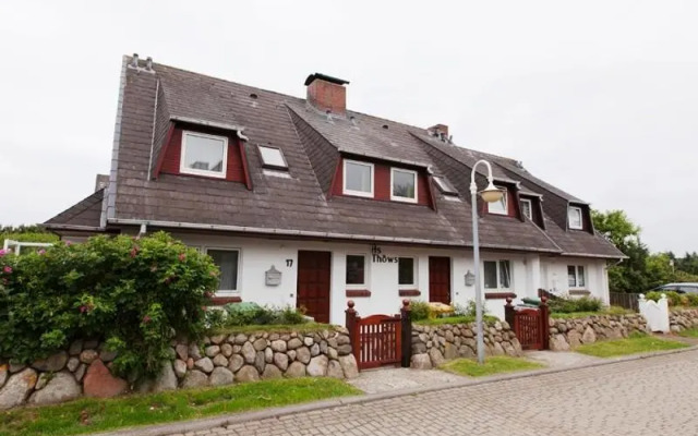 Strandnelke