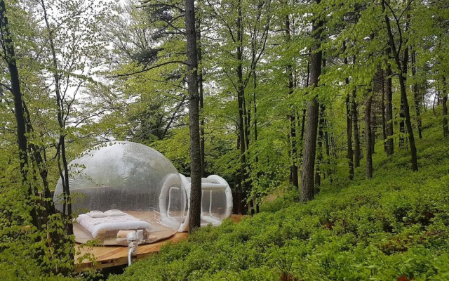 La bulle transparente - La Myrtille