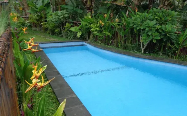 Okawati 2 House