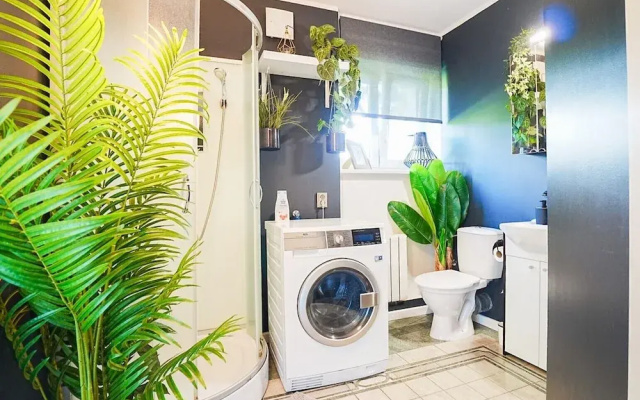 Cofy Rentals Tallinn