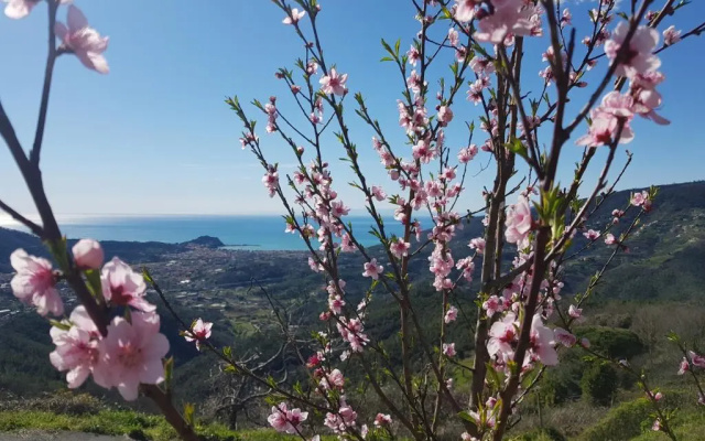 Casale In Vigna, CinqueTerreCoast