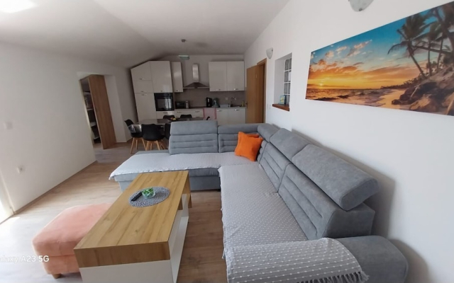 Apartment Plesa
